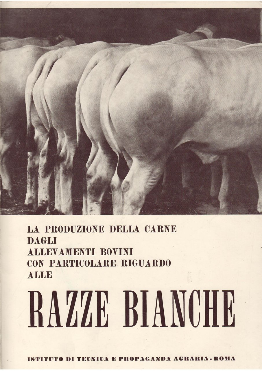 LA PRODUZIONE DELLA CARNE DAGLI ALLEVAMENTI BOVINI CON PARTICOLARE RIGUARDO …