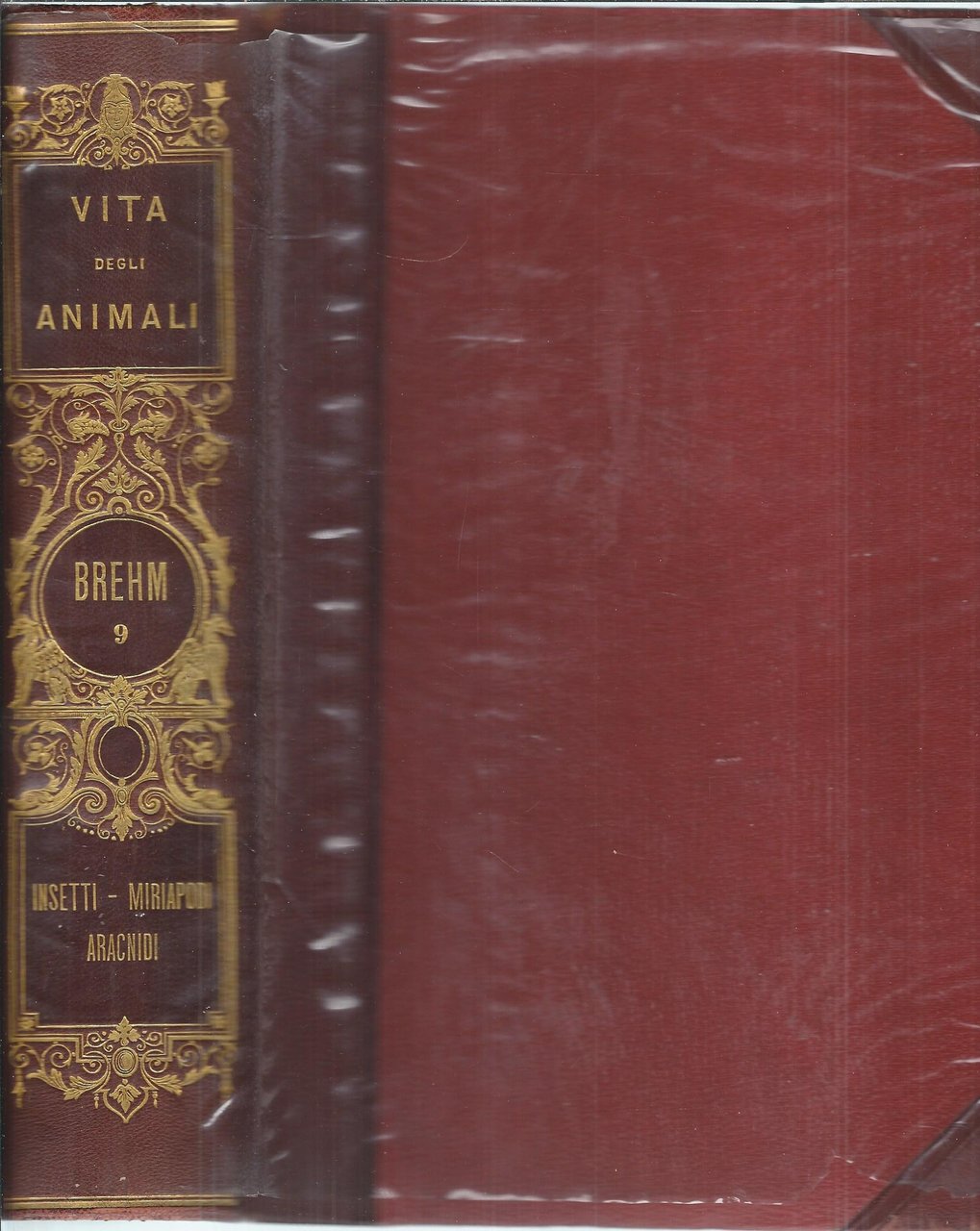 LA VITA DEGLI ANIMALI - VOLUME NONO - INSETTI - …