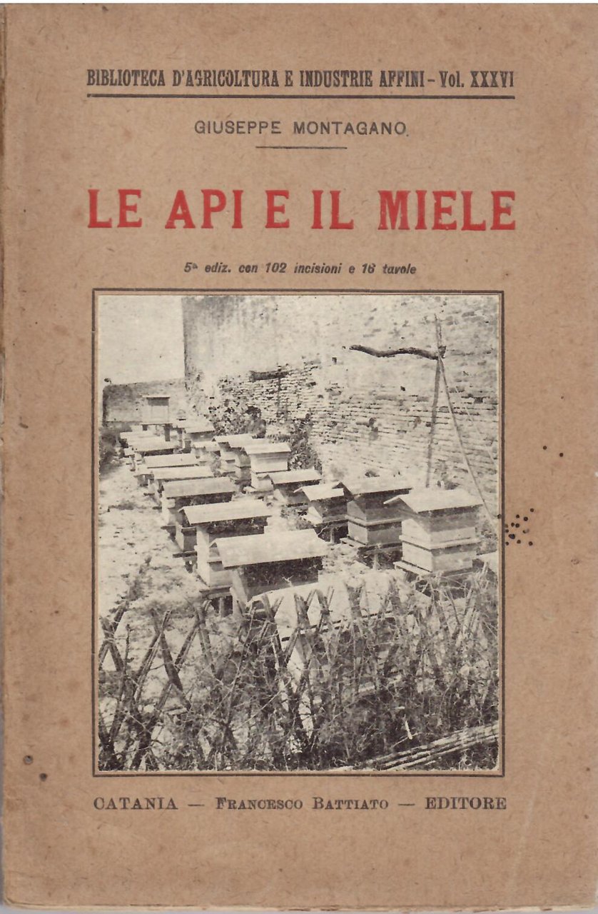 LE API E IL MIELE - LEZIONI TEORICO - PRATICHE …