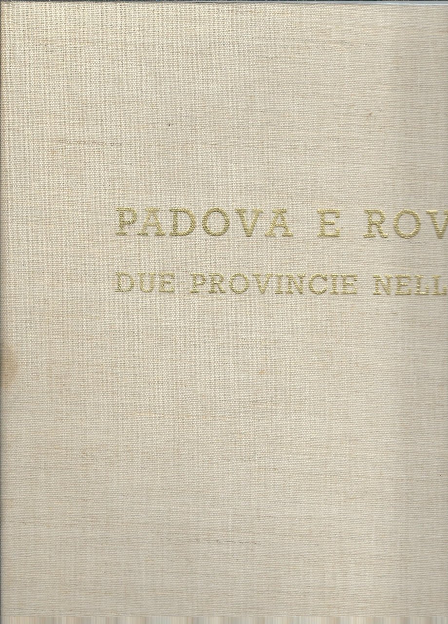 PADOVA E ROVIGO DUE PROVINCIE NELL'ARTE