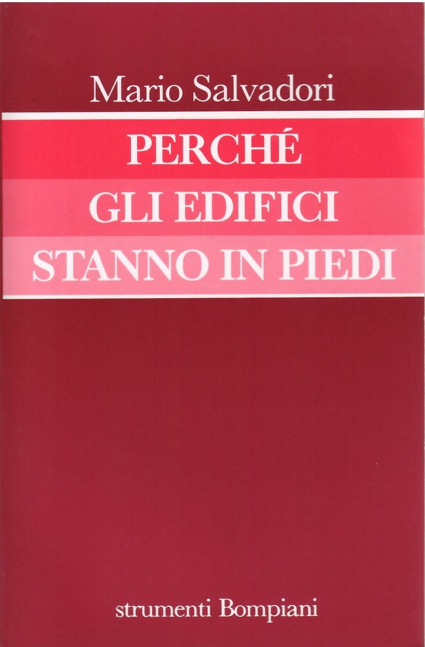 PERCHE' GLI EDIFICI STANNO IN PIEDI