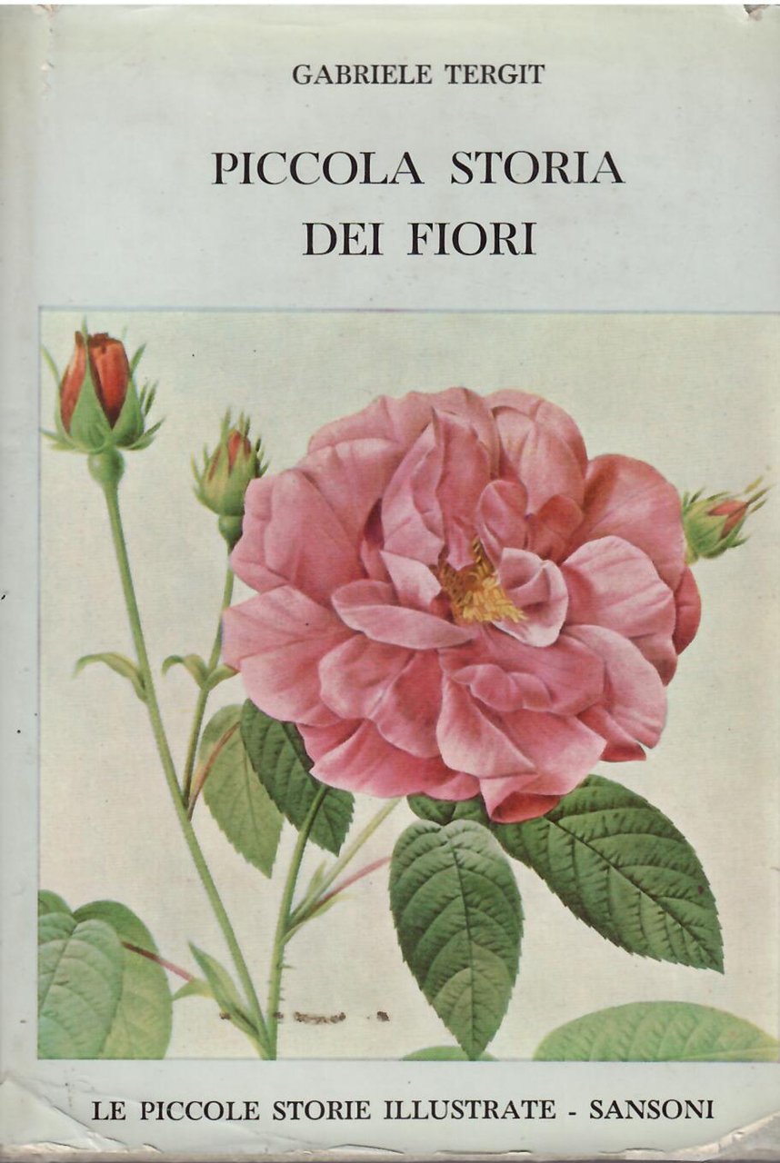 PICCOLA STORIA DEI FIORI