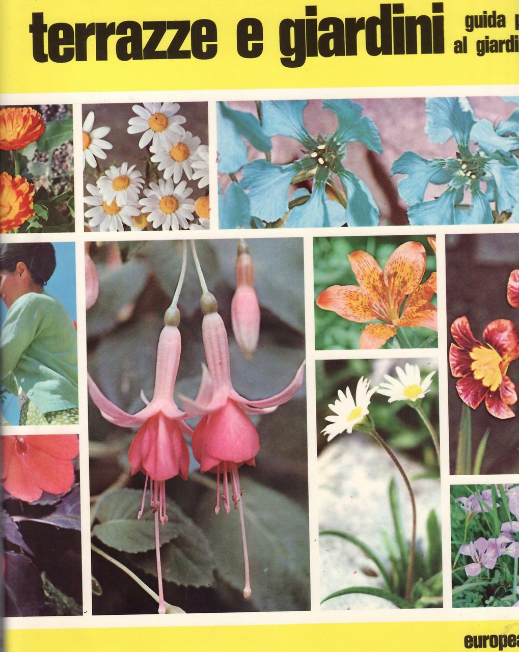 TERRAZZE E GIARDINI - GUIDA PRATICA AL GIARDINAGGIO | Immagine principale