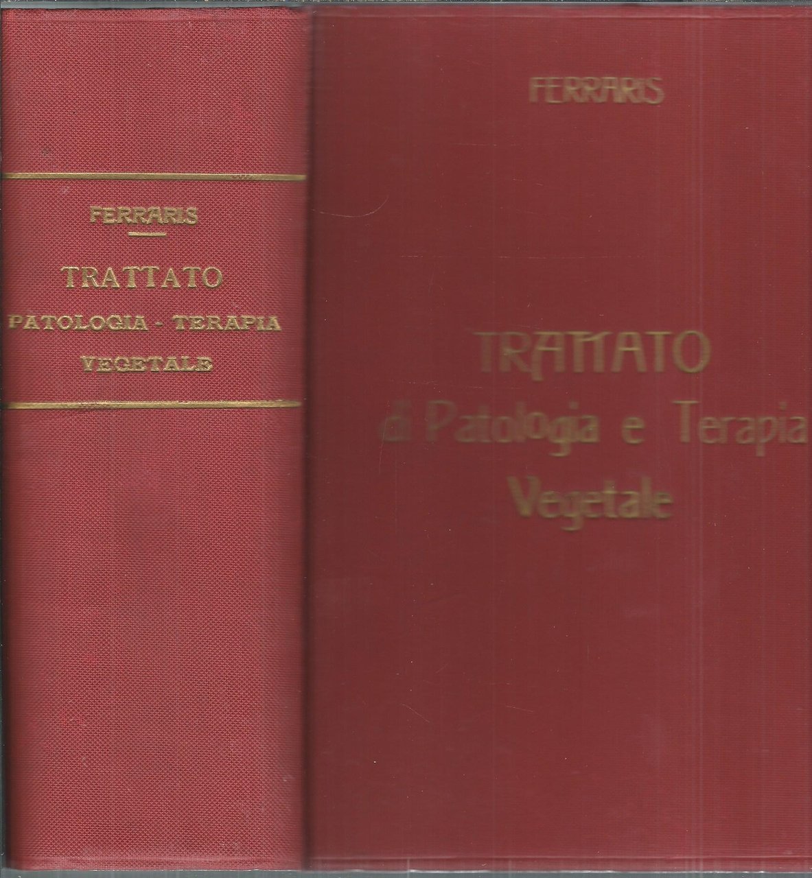 TRATTATO DI PATOLOGIA E TERAPIA VEGETALE - AD USO DELLE …