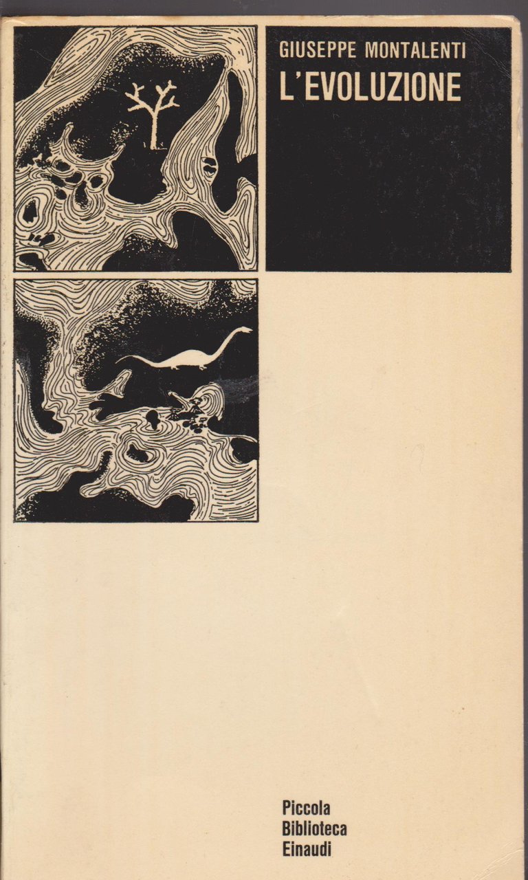 L'evoluzione