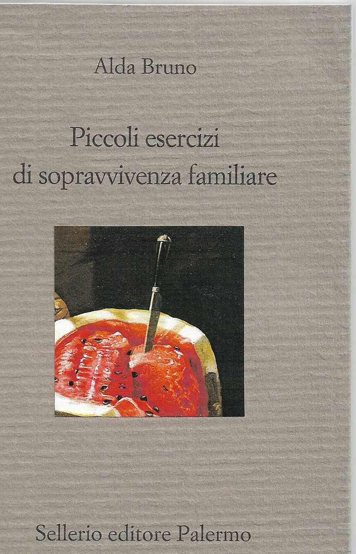 Piccoli esercizi di sopravvivenza familiare (stampa 2017)