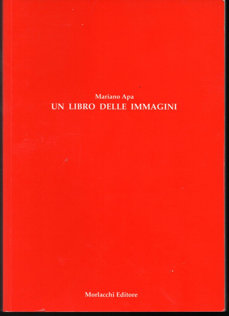 Il tredicesimo apostolo