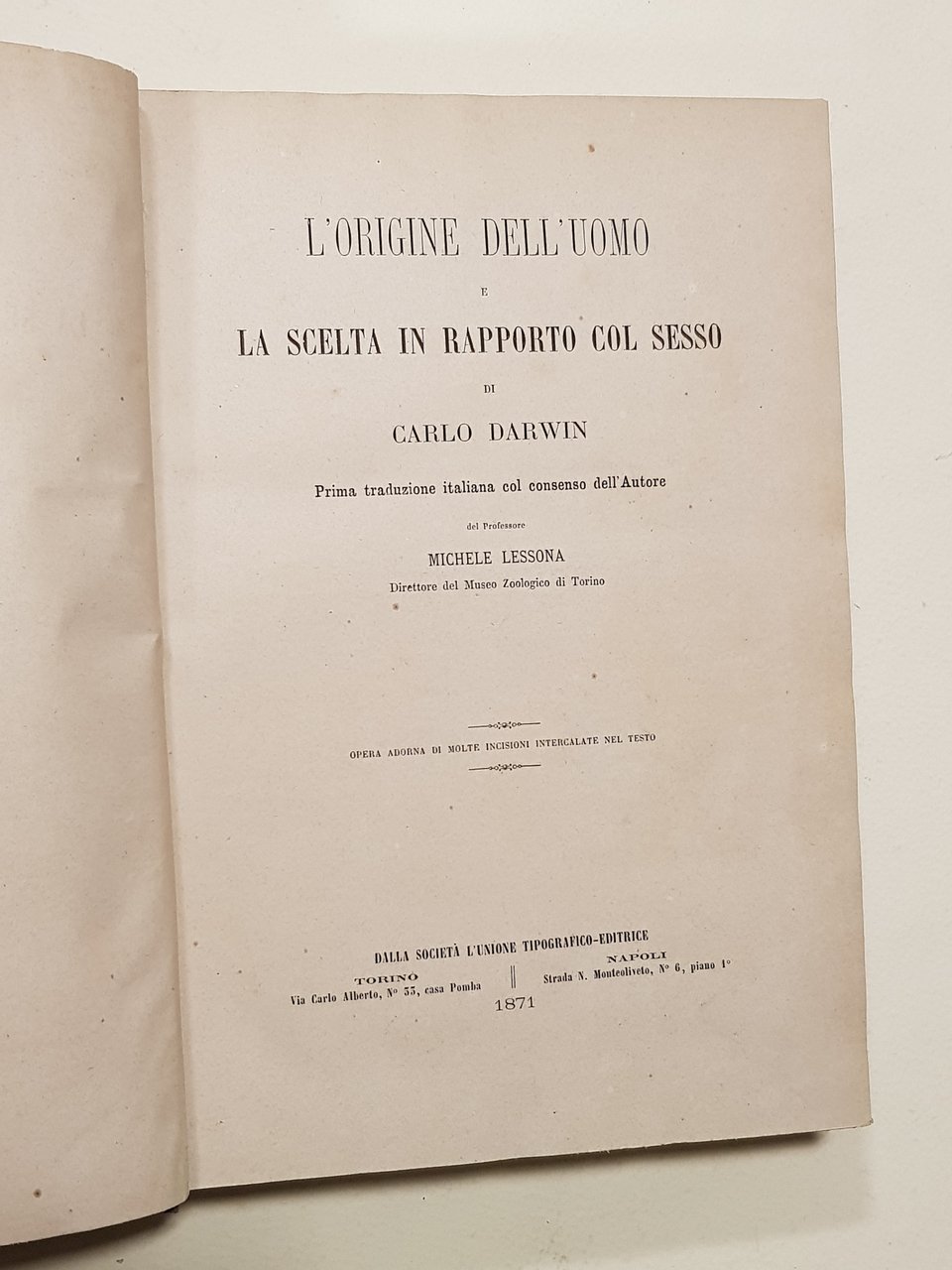 L'origine dell'uomo e la scelta in rapporto col sesso.