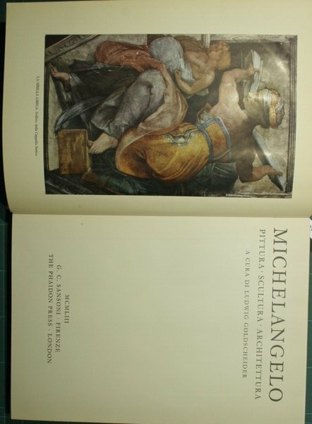 Michelangelo