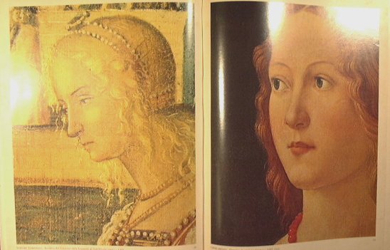 La donna ideale nella grande pittura