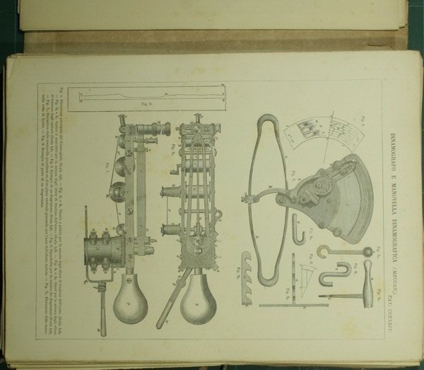 Nuova Enciclopedia italiana ovvero dizionario generale di scienze, lettere, industrie