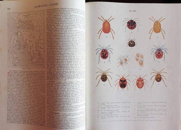 Treccani. Enciclopedia Italiana di Scienze, Lettere ed Arti. Ed. 1949