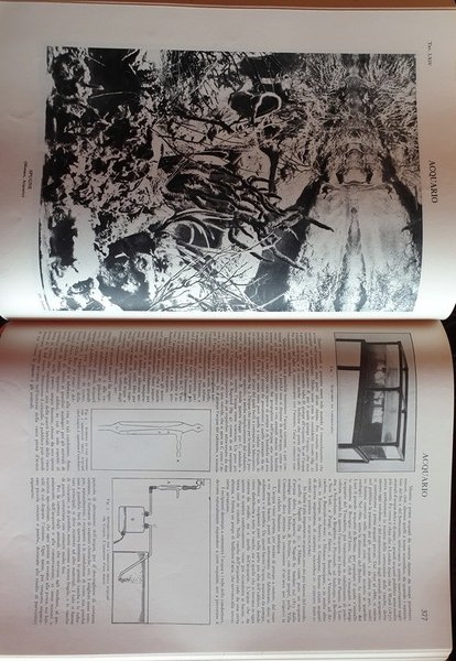 Treccani. Enciclopedia Italiana di Scienze, Lettere ed Arti. Ed. 1949