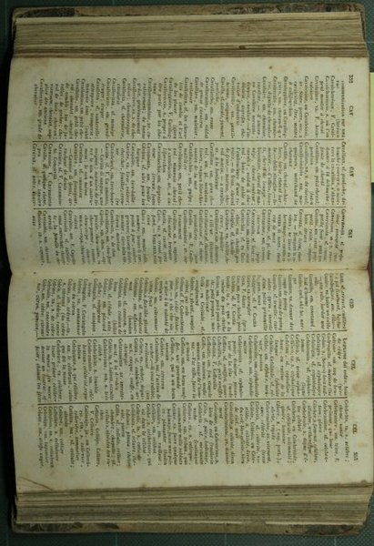 Dictionnaire francais-italien et italien-francais