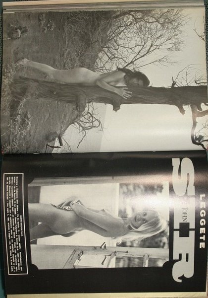 Raccolta di riviste erotiche