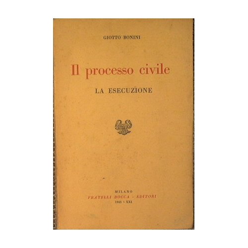 Il processo civile