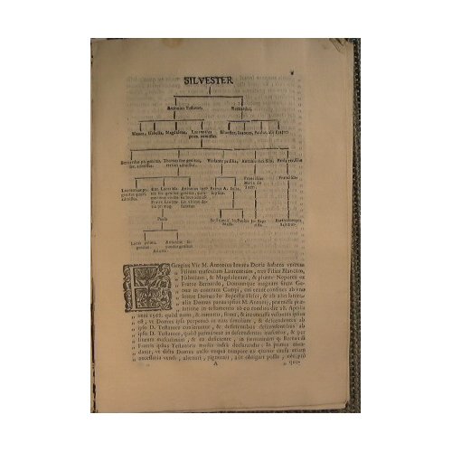 Iura M. Lucae Adurni et Resolutio motivorum M. Rotae Civilis …