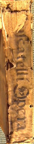 Io Bernardini Muscatelli IUD variarum practicarum et tractatuum civilium & …