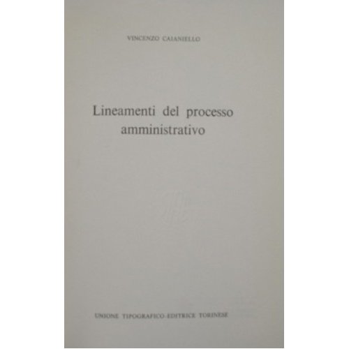 Lineamenti del processo amministrativo