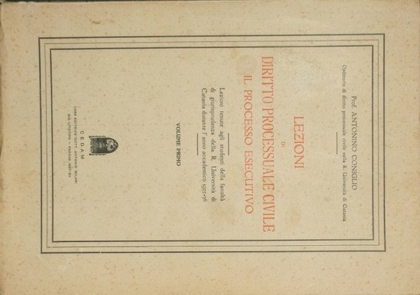 Lezioni di Diritto processuale civile - Il processo esecutivo