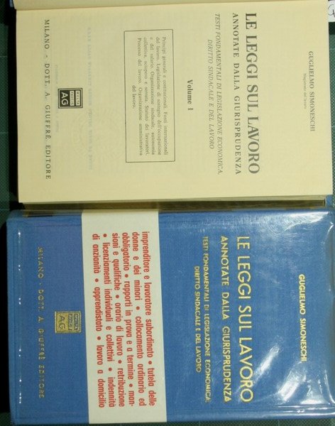 Le leggi sul lavoro annotate dalla giurisprudenza. Vol. I-II