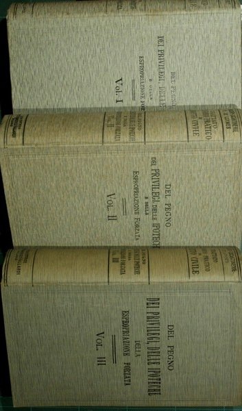 Del pegno. Dei privilegi, delle ipoteche e della espropriazione forzata. …