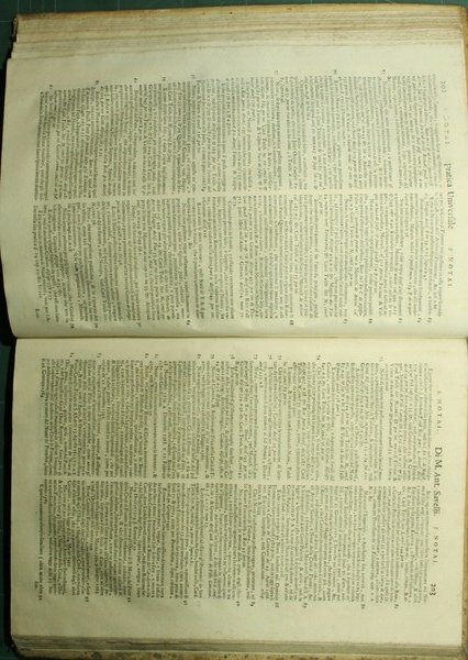 Pratica universale del dottor Marcantonio Savelli Auditore della Rota Criminale …