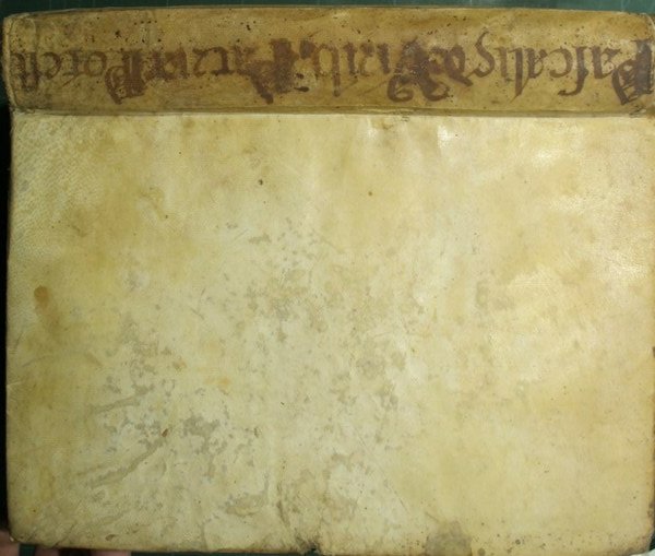 Tractatus amplissimus de viribus patriae potestatis quatuor in libros distinctus