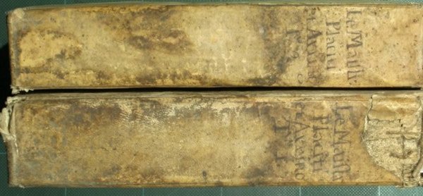 Li placiti e gli aringhi di M. Antonio le Maistre