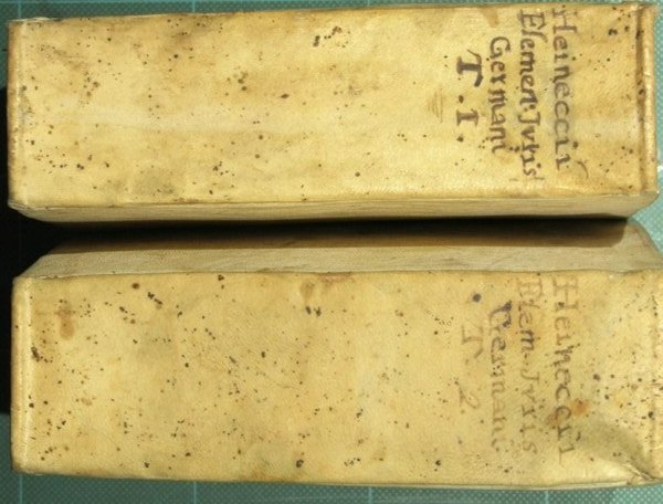 Elementa juris Germanici tum veteris, tum hodierni