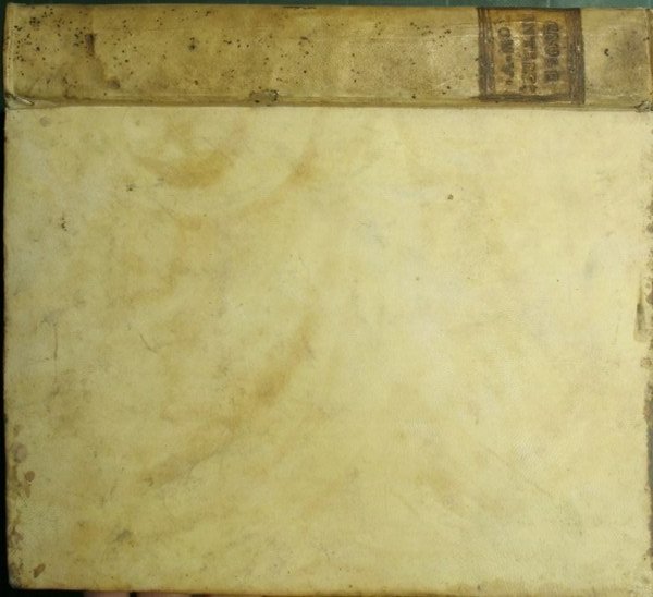 Cause celebri e interessanti. Vol. V | Immagine Gallery 4