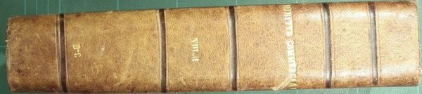 Comento del diritto commerciale. Vol. I
