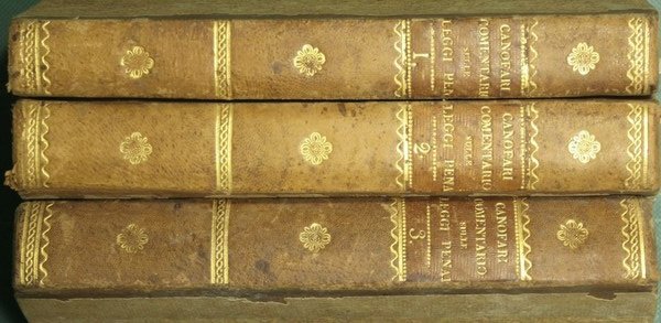 Comentario sulla parte seconda del Codice per lo Regno delle …