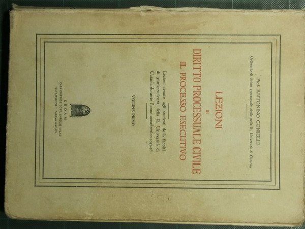 Lezioni di Diritto processuale civile - Il processo esecutivo