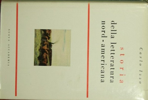 Storia della letteratura nord-americana