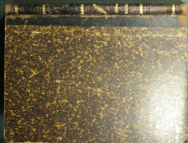 Gli orrori del militarismo