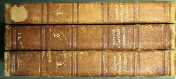 Lezioni di letteratura italiana