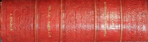 Trattato di anatomia topografica con applicazioni alla chirurgia