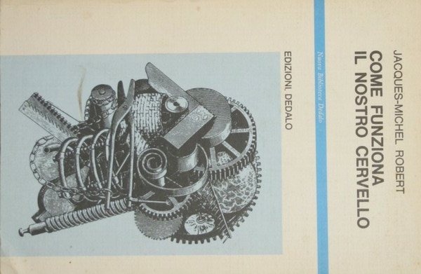 Come funziona il nostro cervello