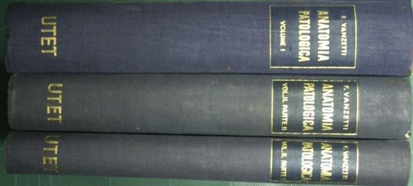 Trattato italiano di anatomia patologica