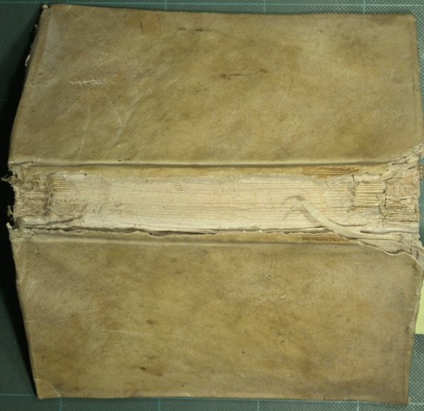 Trattato delle malattie del petto, conosciute sotto il nome di …