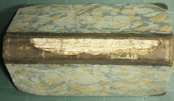 Saggio sulle proprietà medicinali dell'ossigeno