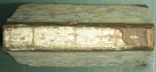 Saggio su la pleuritide biliosa epidemica