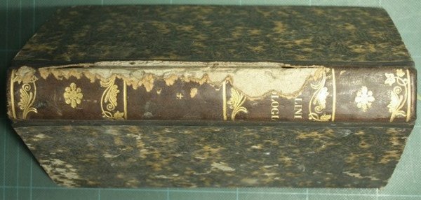 Opere di Maurizio Bufalini