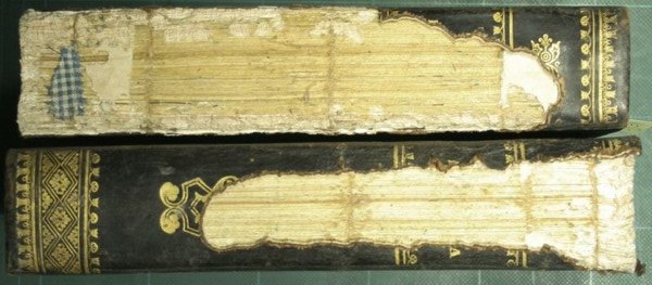 Nuovi elementi di patologia medico-chirurgica o sia Trattato teorico-pratico di …