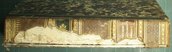 Traitè de l'auscultation mediate et des maladies des poumons et …