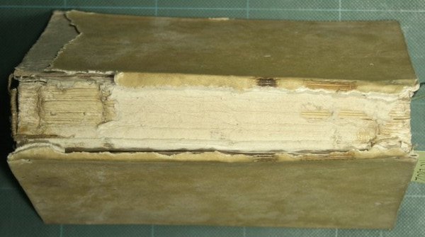 Institutionum medicinae practicae quas auditoribus suis praelegebat Io. Bapt. Burserius …