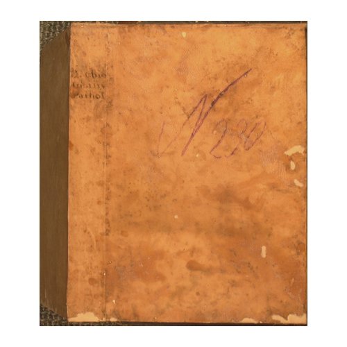 Institutiones pathologiae medicinalis auctore Hyeronimo Davide Gaubio medicinae doctore ejusdem …