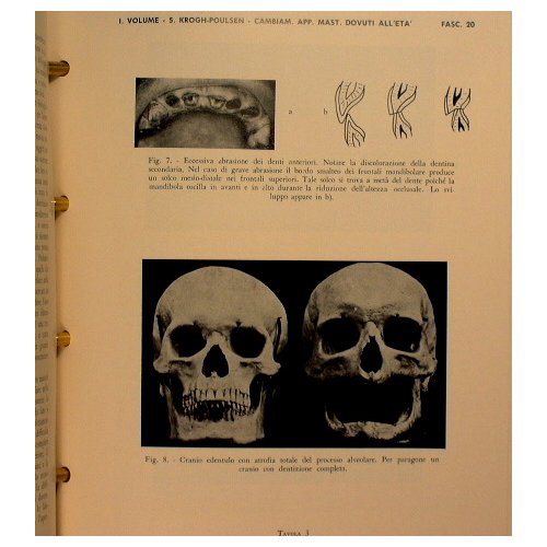 Trattato di odontostomatologia e protesi