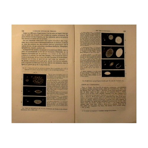 Traitè pratique des maladies des nouveau - nes